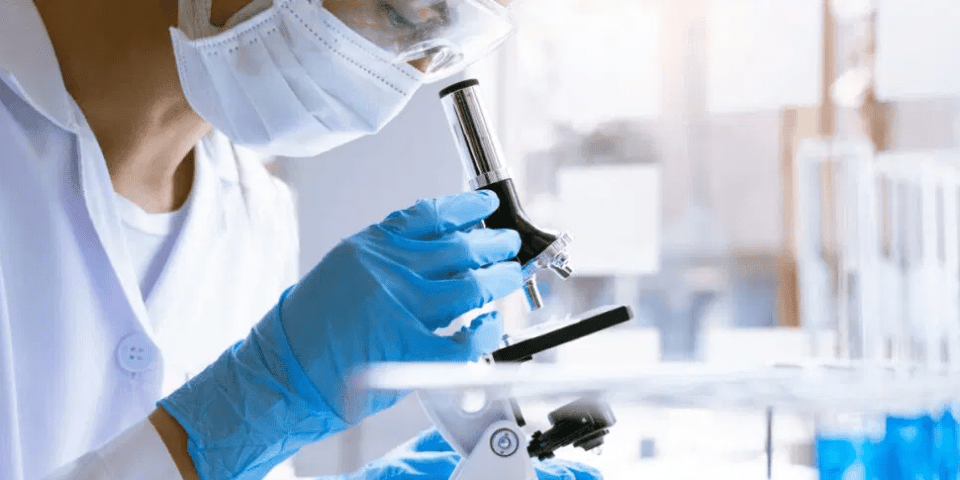 A Researcher doing research on sickle cell disease.