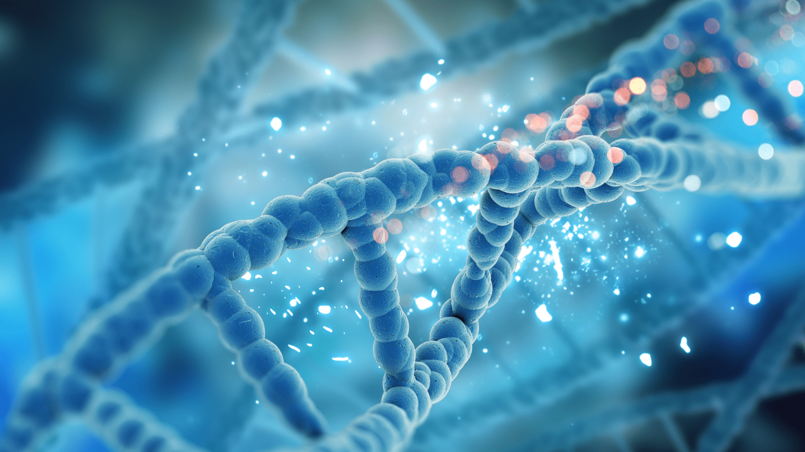 Walking the Talk of Patient-Centricity in Cell and Gene Therapy Trials